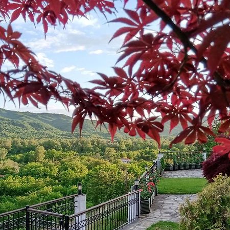 Philoxenia Hotel Paranesti Dış mekan fotoğraf