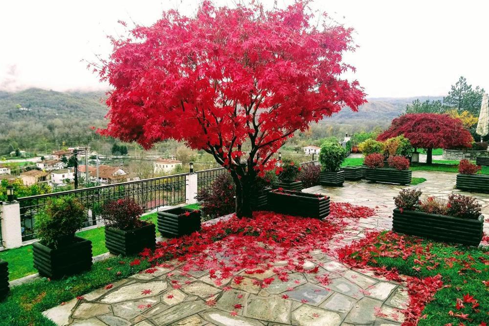 Philoxenia Hotel Paranesti Dış mekan fotoğraf