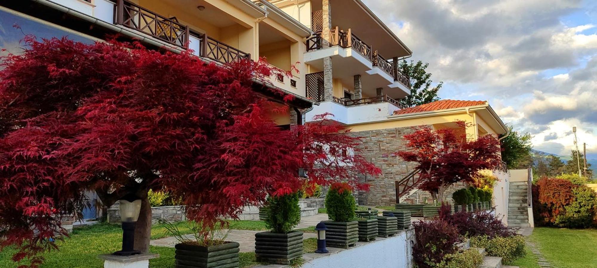 Philoxenia Hotel Paranesti Dış mekan fotoğraf