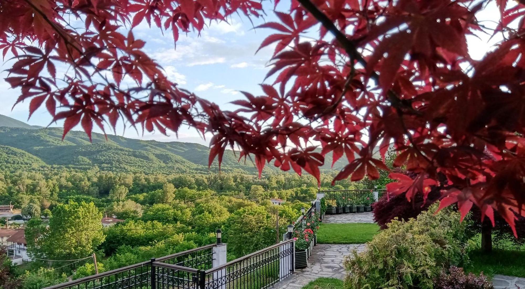 Philoxenia Hotel Paranesti Dış mekan fotoğraf