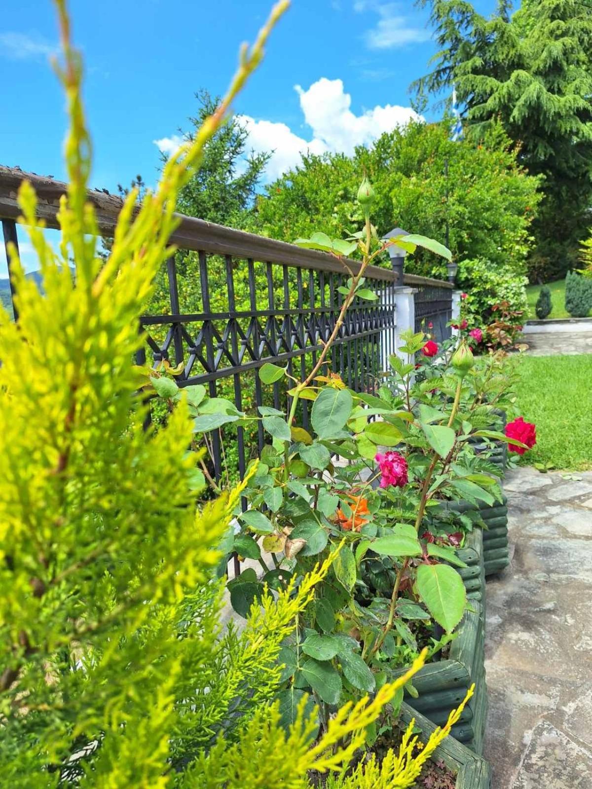 Philoxenia Hotel Paranesti Dış mekan fotoğraf